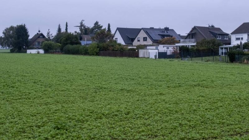 An der Voigtshofer Allee und Wiesenstraße: Doppelhaushälften statt Einfamilienhäuser in Wickrather Wohngebiet