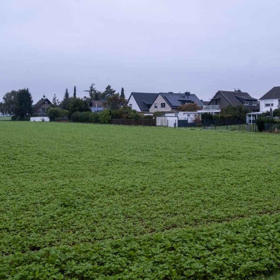 An der Voigtshofer Allee und Wiesenstraße: Doppelhaushälften statt Einfamilienhäuser in Wickrather Wohngebiet