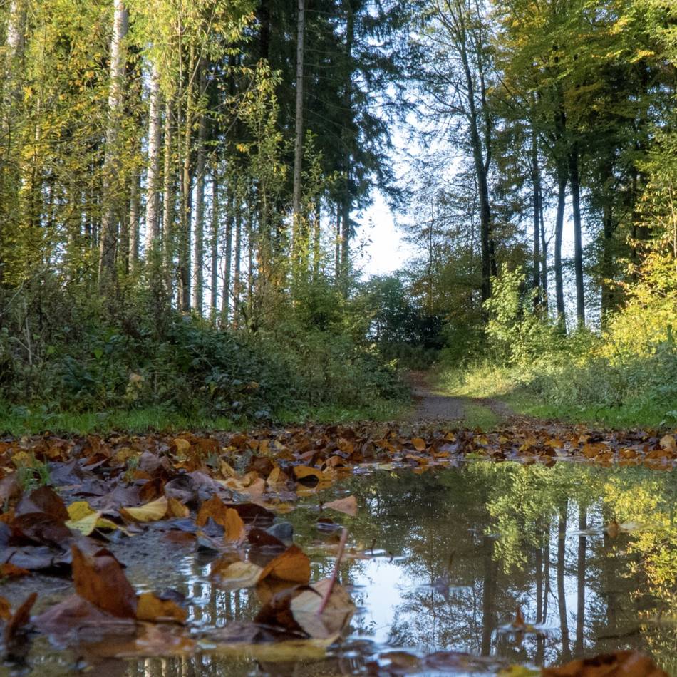 Niederschlagsstatistik für Hückeswagen: September bleibt auch unter dem Regen-Soll