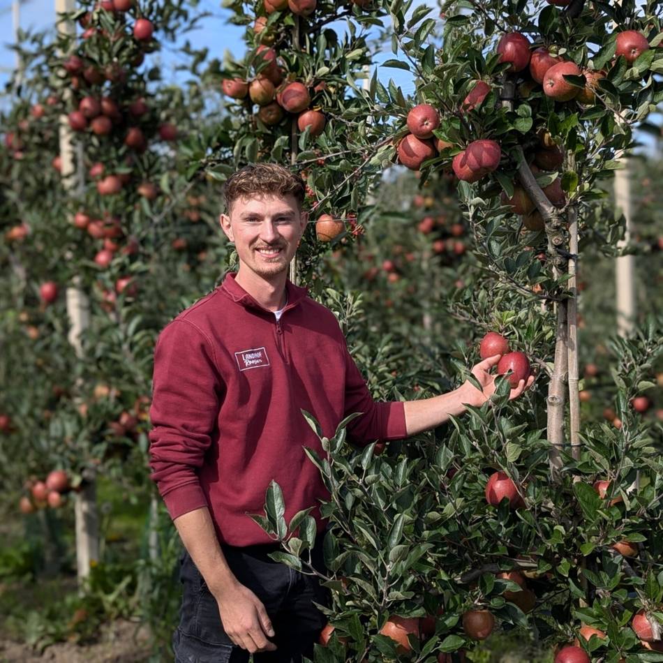 Erntedank in Brüggen: Regionale Apfelsorten und ihre Vielfalt