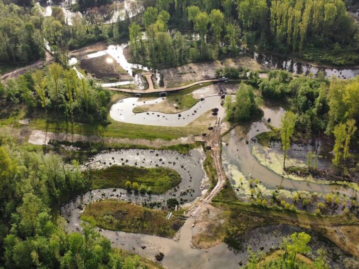 Nach Renaturierung in Mönchengladbach: Den Bresgespark bei Führung neu kennenlernen