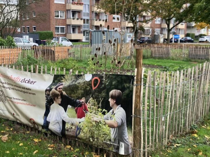 Projekt für Nachhaltigkeit in Neuss: „Müssen mehr Verständnis für die Herkunft unserer Lebensmittel aufbringen“