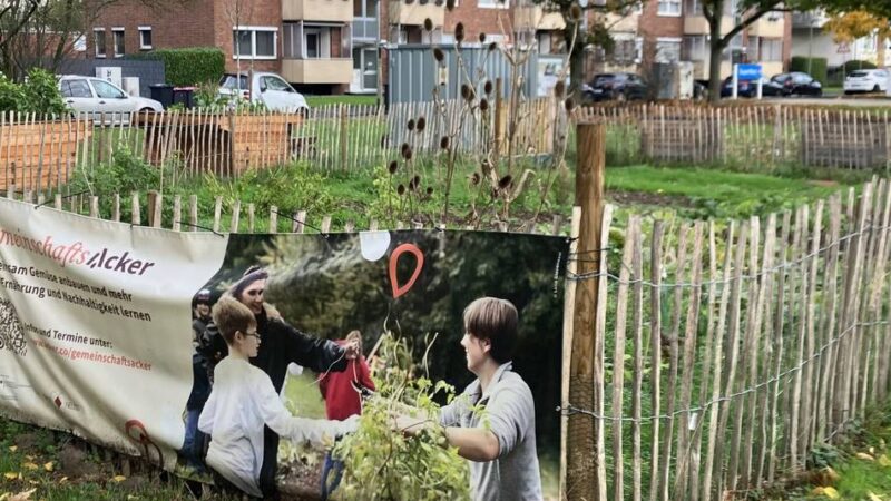 Projekt für Nachhaltigkeit in Neuss: „Müssen mehr Verständnis für die Herkunft unserer Lebensmittel aufbringen“
