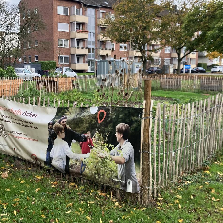 Projekt für Nachhaltigkeit in Neuss: „Müssen mehr Verständnis für die Herkunft unserer Lebensmittel aufbringen“