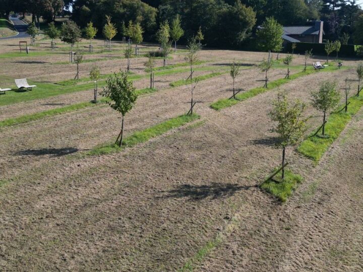 Aktionstage Nachhaltigkeit in Nettetal: Streuobst vom Nabu-Naturschutzhof