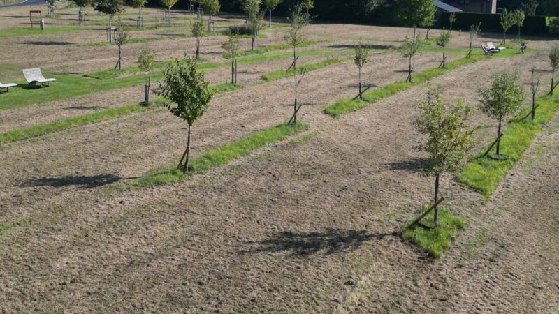 Aktionstage Nachhaltigkeit in Nettetal: Streuobst vom Nabu-Naturschutzhof