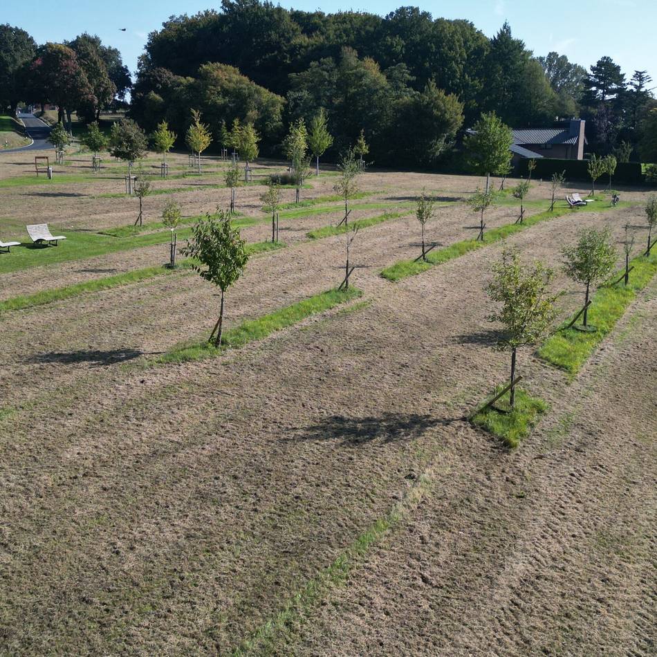 Aktionstage Nachhaltigkeit in Nettetal: Streuobst vom Nabu-Naturschutzhof
