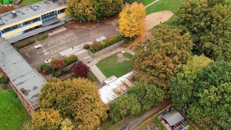 Baustart in Leverkusen steht kurz bevor: Stadt fällt Bäume für Grundschulerweiterung