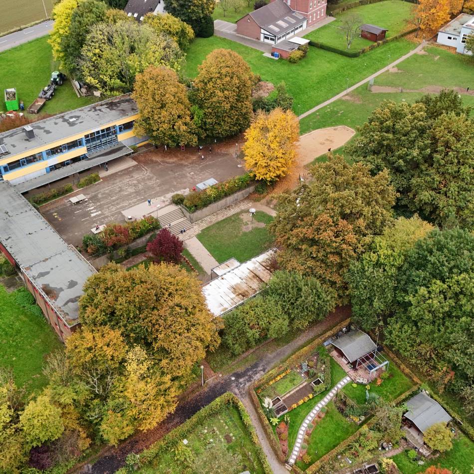 Baustart in Leverkusen steht kurz bevor: Stadt fällt Bäume für Grundschulerweiterung
