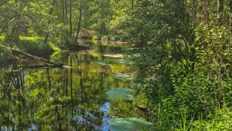 Enorme Anstrengung für das Grundwasser: So funktioniert die Grundwasser-Sümpfung im Rheinischen Revier