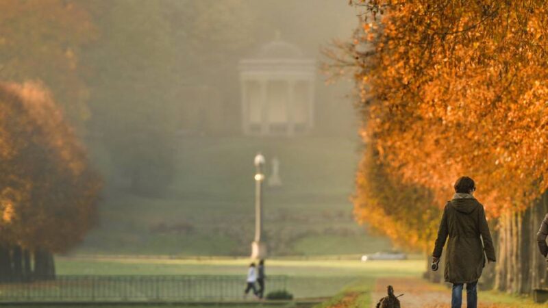 90 Minuten lang wandern in Kleve: So bunt und erholsam kann ein Herbstspaziergang im Forstgarten sein