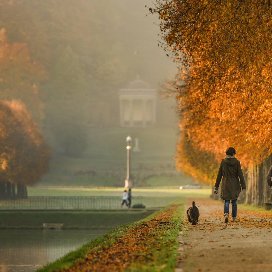 90 Minuten lang wandern in Kleve: So bunt und erholsam kann ein Herbstspaziergang im Forstgarten sein
