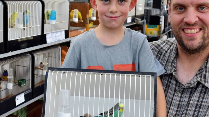 Willicher Vogelfreunde stellten aus: „Nur durch den guten Kuchen an die Vogelfreunde gekommen“