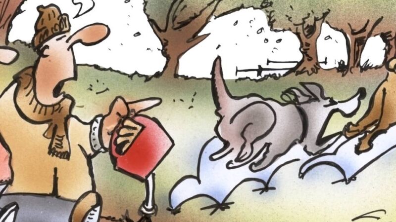 Nach Vorfall in Dinslaken: Keine Diskussion – Hunde gehören an die Leine!
