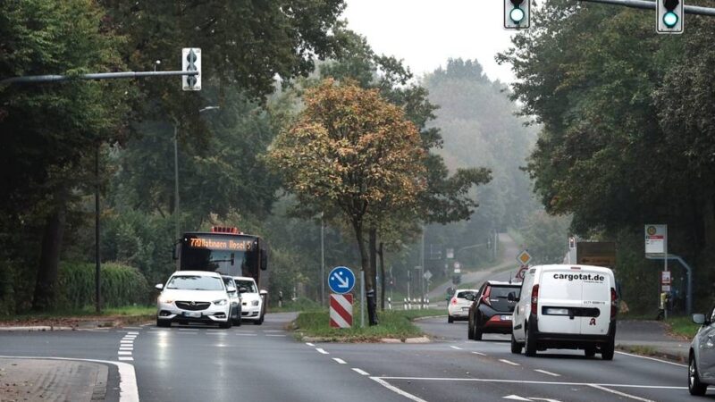 Höseler Straße: Details vor Beginn der Bauarbeiten