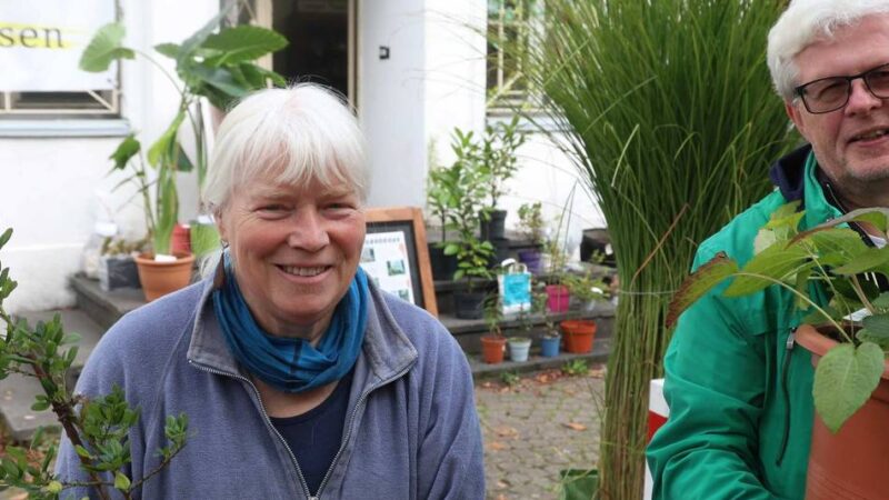 Vor dem Künstlerbunker in Opladen: Kunst und Natur auf der Pflanzentauschbörse
