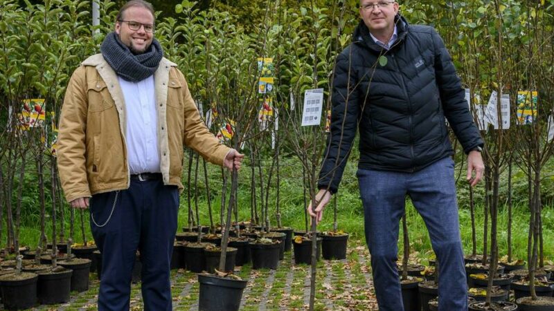Klimaschutz in Meerbusch: 1000 Klimabäume ab Montag zu verschenken