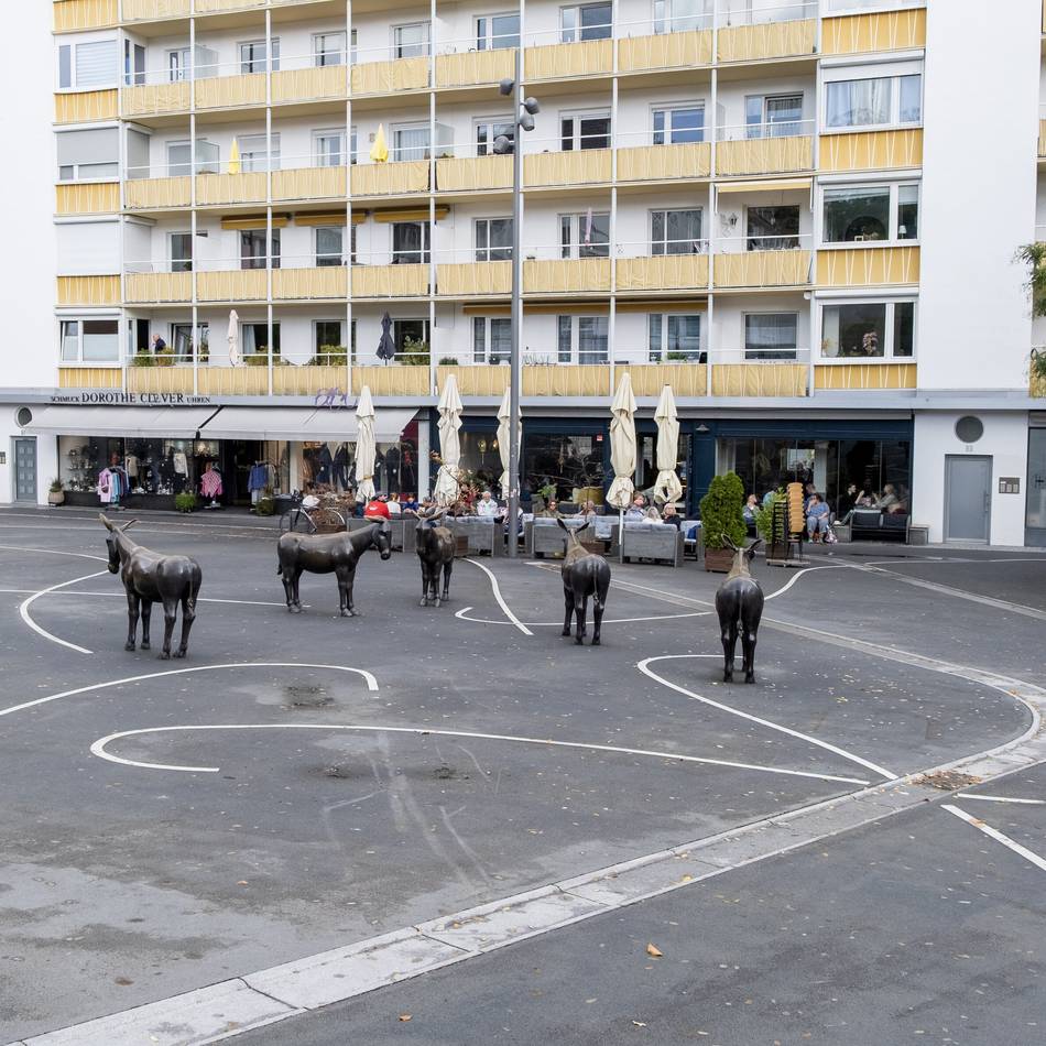 Lücken in Bronzeskulptur in Mönchengladbach: Unfall auf Sonnenhausplatz – zwei Esel schwer beschädigt