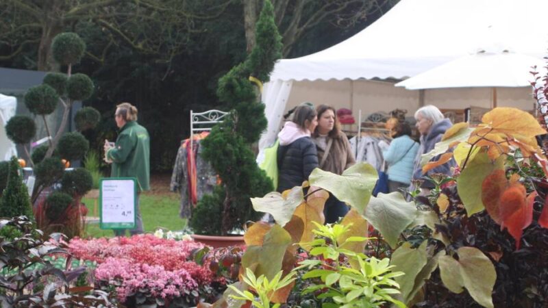 Traditioneller Herbstmarkt an der Krefelder Rennbahn: Herbstzauber bietet vielfältige Genüsse