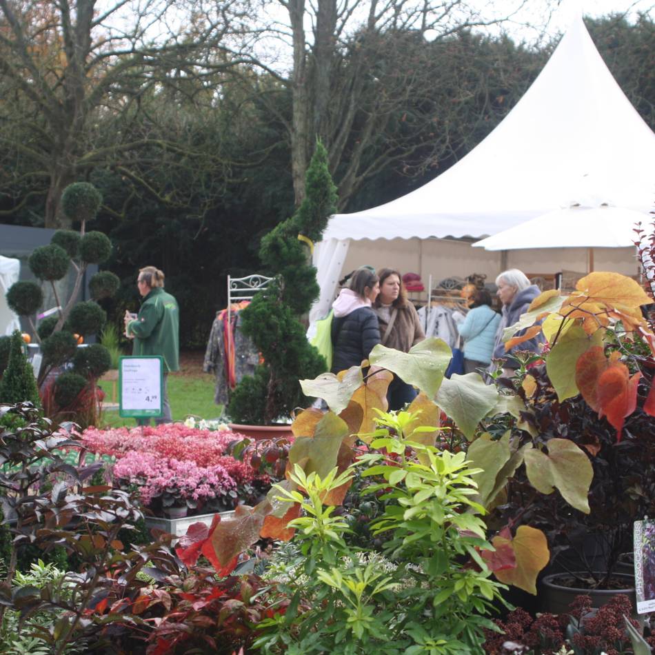 Traditioneller Herbstmarkt an der Krefelder Rennbahn: Herbstzauber bietet vielfältige Genüsse