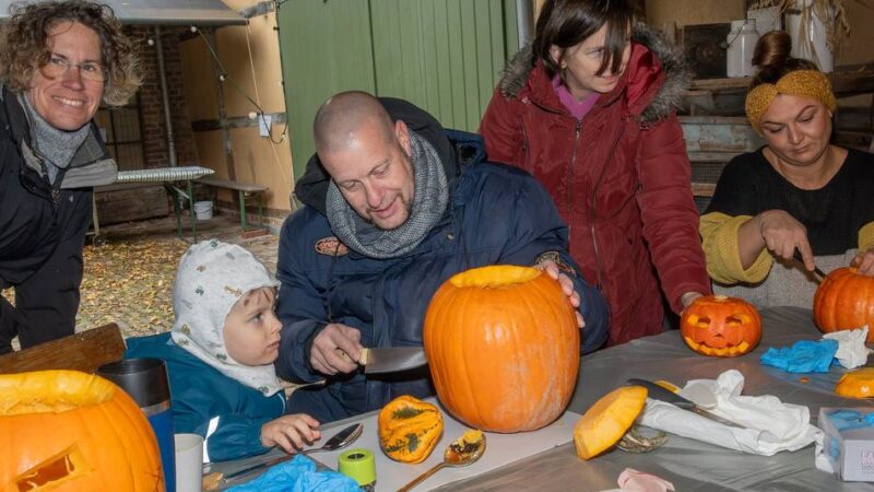 Familienaktion auf dem Tuppenhof: Was sich aus Kürbissen alles machen lässt