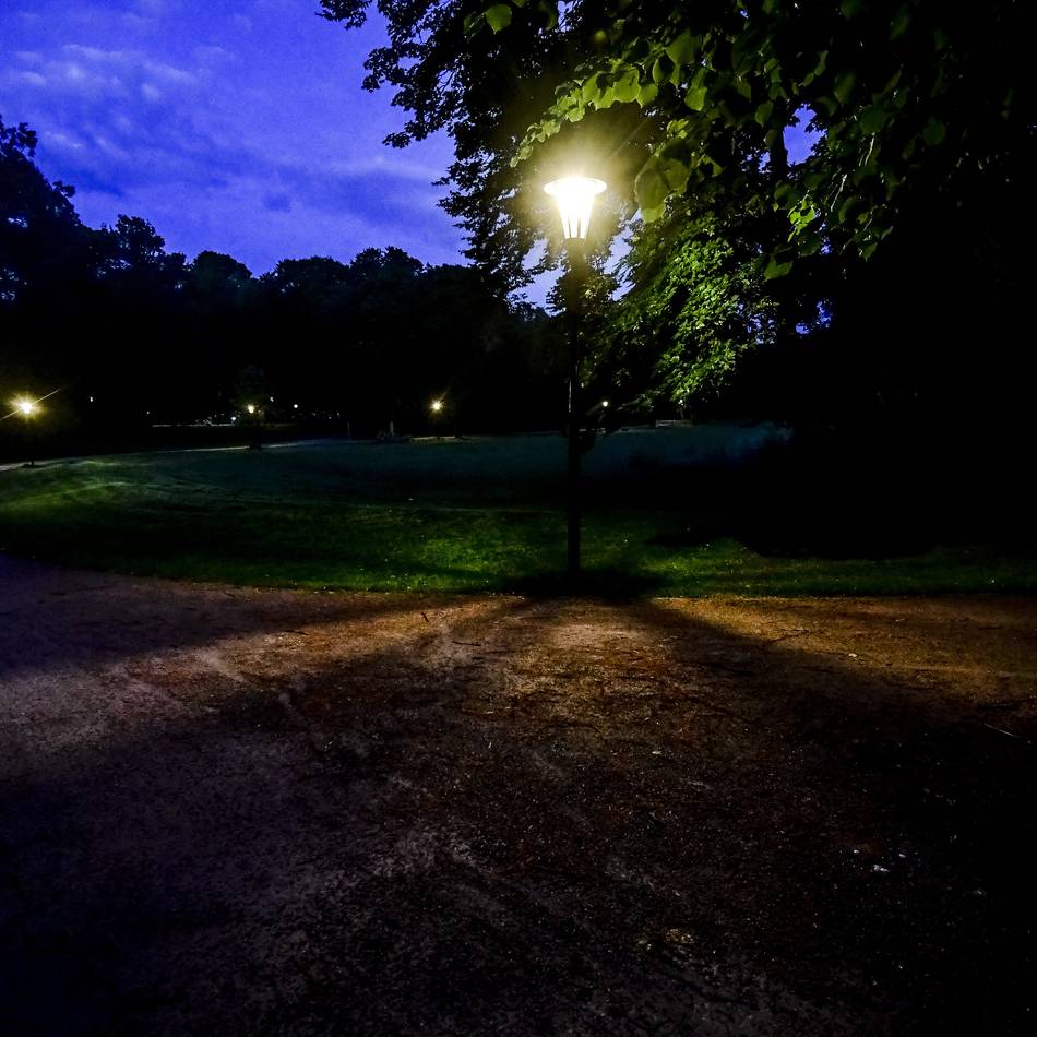 21-Jähriger lebensgefährlich verletzt: Streit am Hofgarten in Düsseldorf endete beinahe tödlich