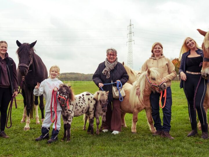 Schuchis Betreuung in Dormagen: Wenn Ponys Herzen öffnen und Menschen in Bewegung bringen