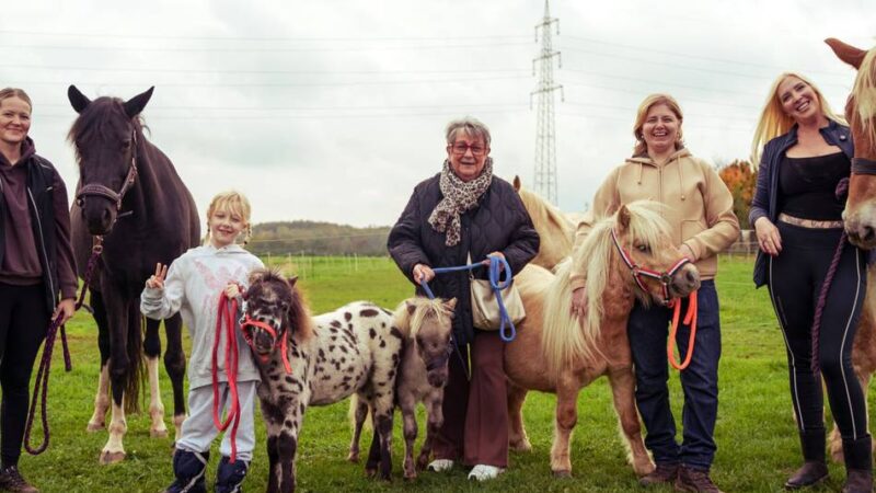 Schuchis Betreuung in Dormagen: Wenn Ponys Herzen öffnen und Menschen in Bewegung bringen