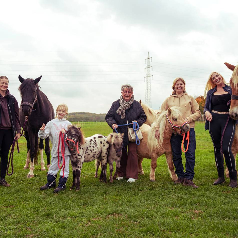 Schuchis Betreuung in Dormagen: Wenn Ponys Herzen öffnen und Menschen in Bewegung bringen