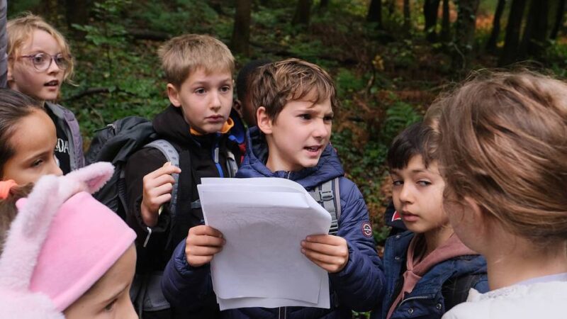 Besondere Veranstaltung: Spannende Waldjugendspiele für Schüler