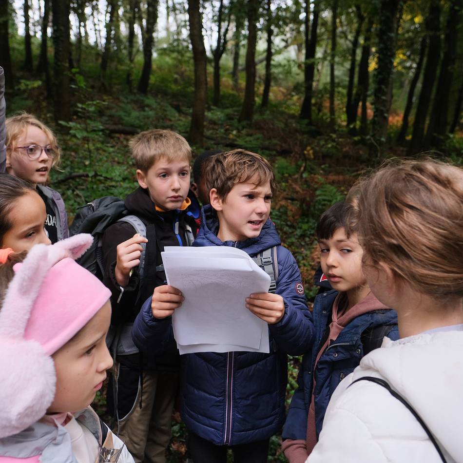 Besondere Veranstaltung: Spannende Waldjugendspiele für Schüler