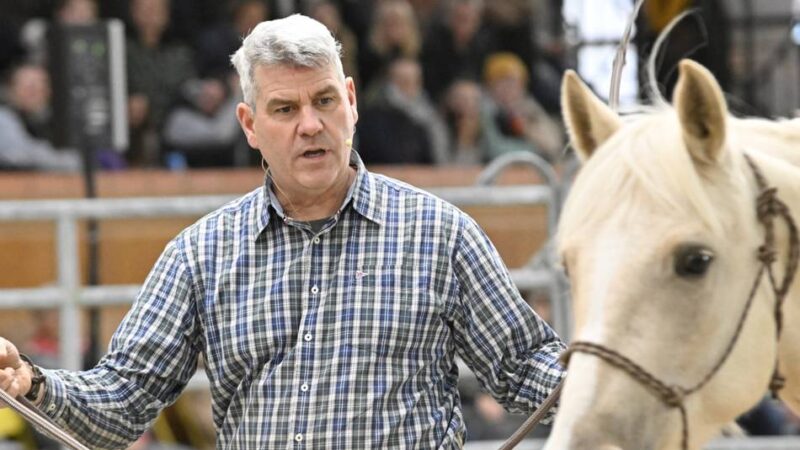 Pferdeprofi Bernd Hackl in Mönchengladbach: „Pferde wollen jemanden, der auf sie aufpasst“