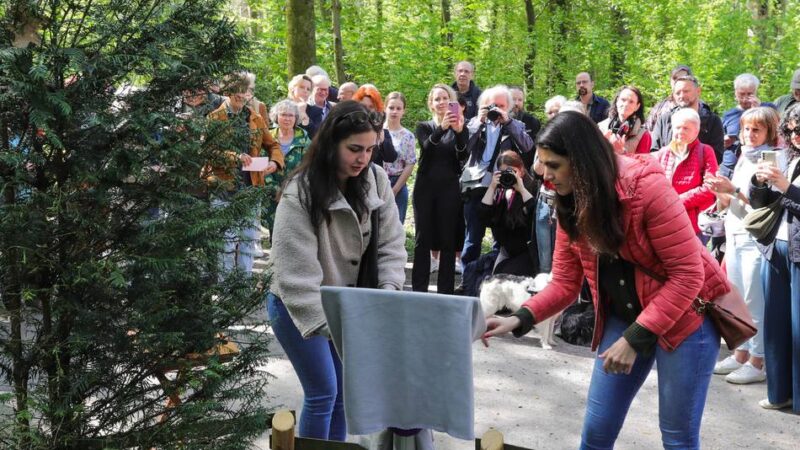 Spurensuche in Düsseldorf: Die NS-Zeit im Stadtbezirk 8 wird aufgearbeitet