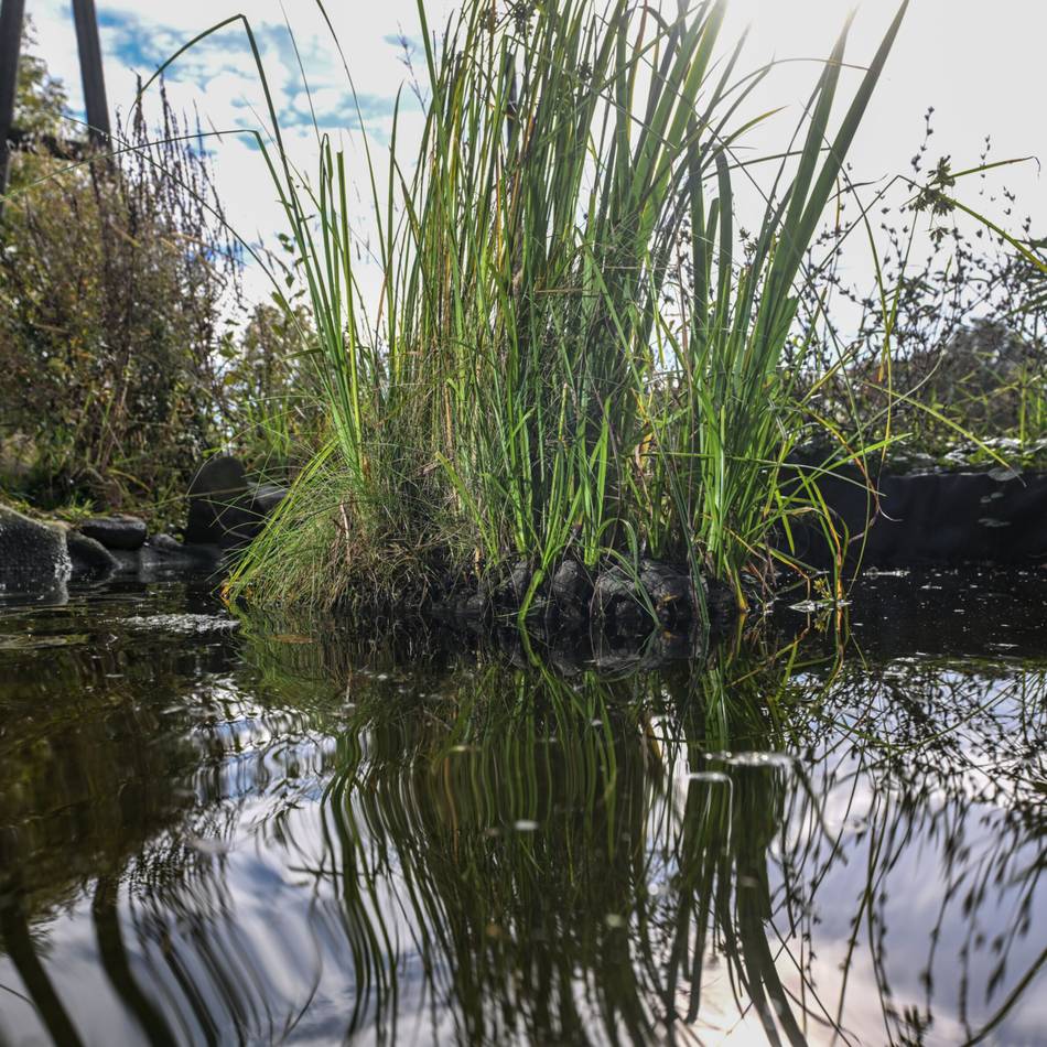 Schwimmende Inseln: Idee zur Rettung des Holländer Sees