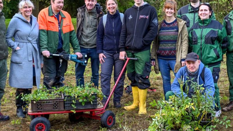 Projekt in Neukirchen-Vluyn: Am Golfplatz blüht bald das Blutströpfchen