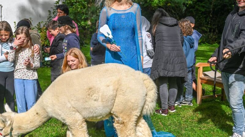 Tag der Zahngesundheit: Die Zahnfee und die „Superkraft“