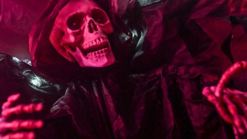 Halloween 2025: Gruselgarantie – die besten Events in Moers und Umgebung