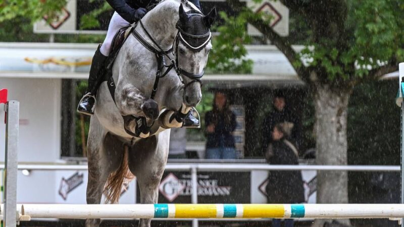 20 Prüfungen bis zur schweren Klasse: Springturnier der Spitzenklasse in Xanten