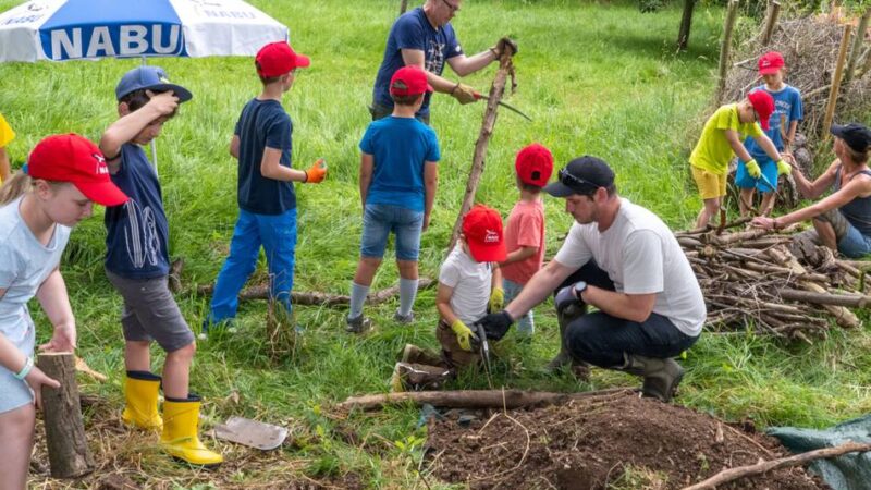 Wettbewerb „Deutschland summt“ 2025: Naturschutz-Nachwuchs aus Grefrath erfolgreich