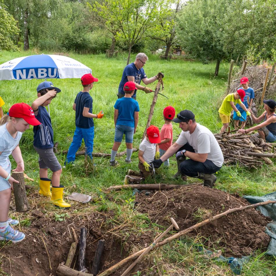Wettbewerb „Deutschland summt“ 2025: Naturschutz-Nachwuchs aus Grefrath erfolgreich