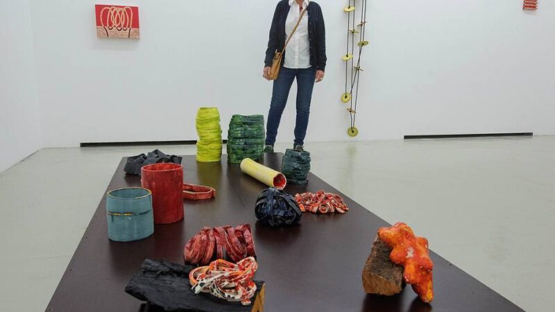 Ausstellung im Museum DKM: Claudia Terstappen und ihre in Keramik gebrannte Natur