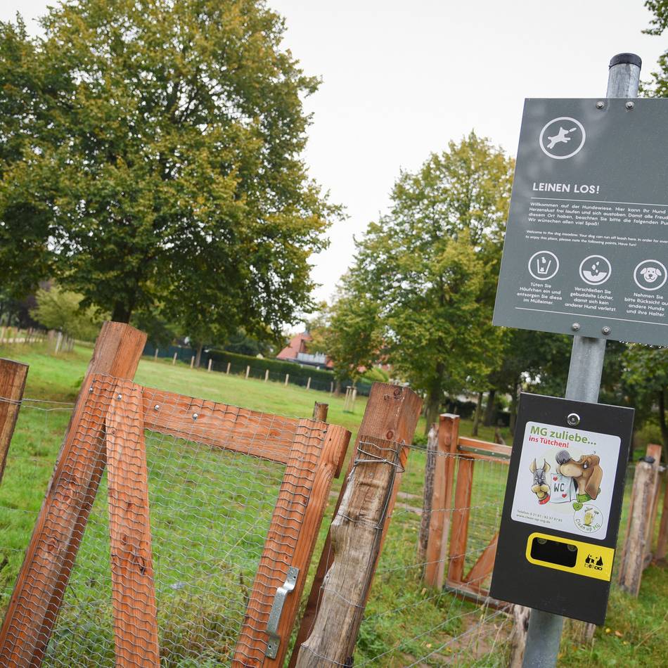 Standortsuche in Erkelenz: Grüne machen Vorschläge für Hundewiese