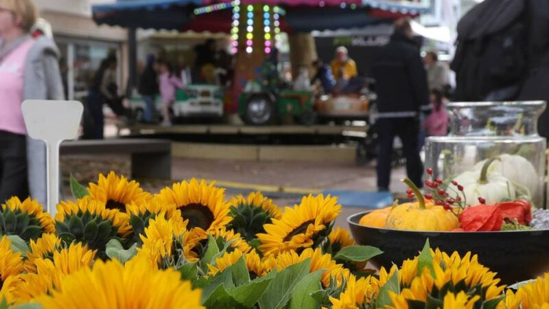 Opladener Herbstmarkt: Bummel mit Pflanzen, Deko und Trödel