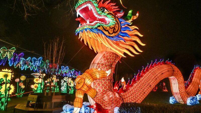 Für die China Lights 2025: Chinesen bauen leuchtende Landschaft im Klever Tiergarten auf