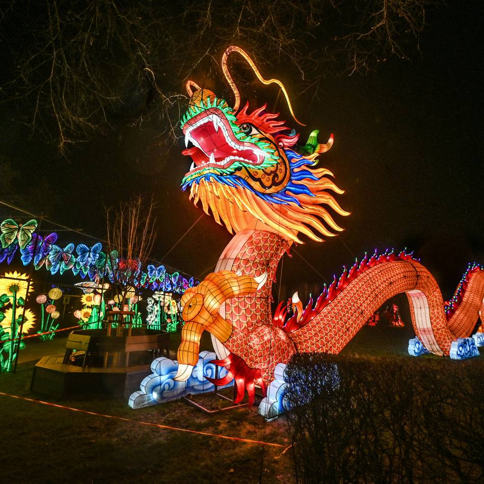 Für die China Lights 2025: Chinesen bauen leuchtende Landschaft im Klever Tiergarten auf