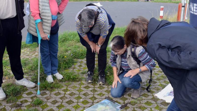 Exkursion in Neuss: Auf Schatzsuche am Rhein – was für ein Stein ist denn das?