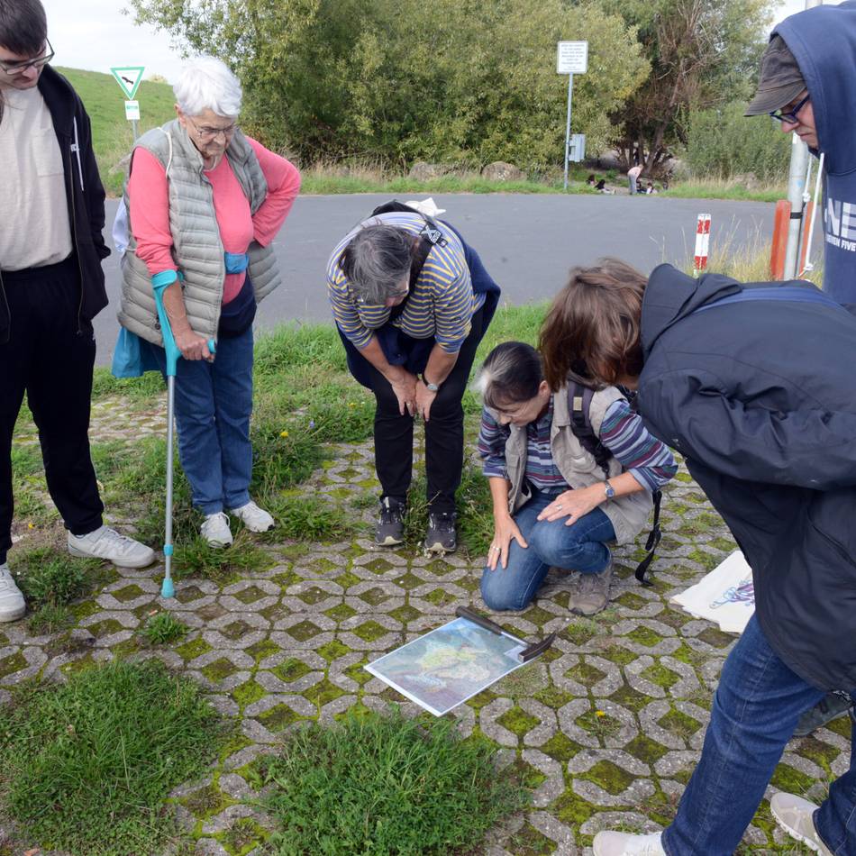 Exkursion in Neuss: Auf Schatzsuche am Rhein – was für ein Stein ist denn das?
