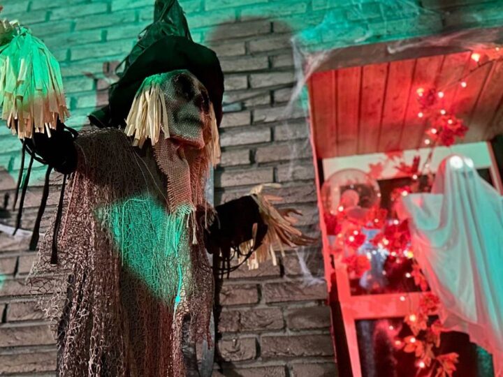Von Spinnen und „Live-Erschreckern“: In diesem Grevenbroicher Garten wird Halloween zur Mutprobe