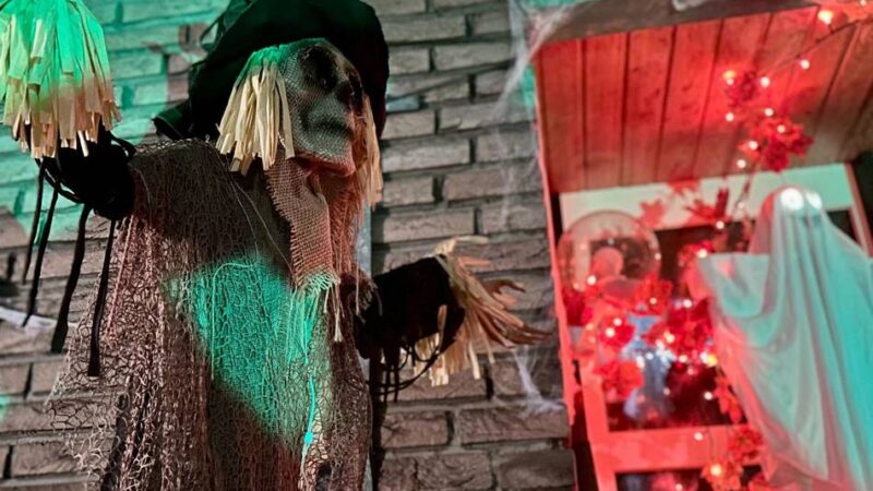 Von Spinnen und „Live-Erschreckern“: In diesem Grevenbroicher Garten wird Halloween zur Mutprobe