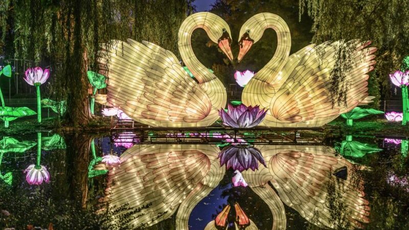 Lichterfestival im Zoo: China Lights im Klever Tiergarten avancieren erneut zum Besuchermagneten